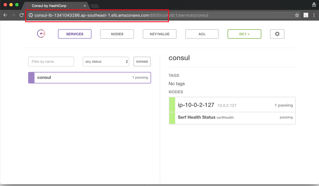 Screenshot showing the Consul admin interface