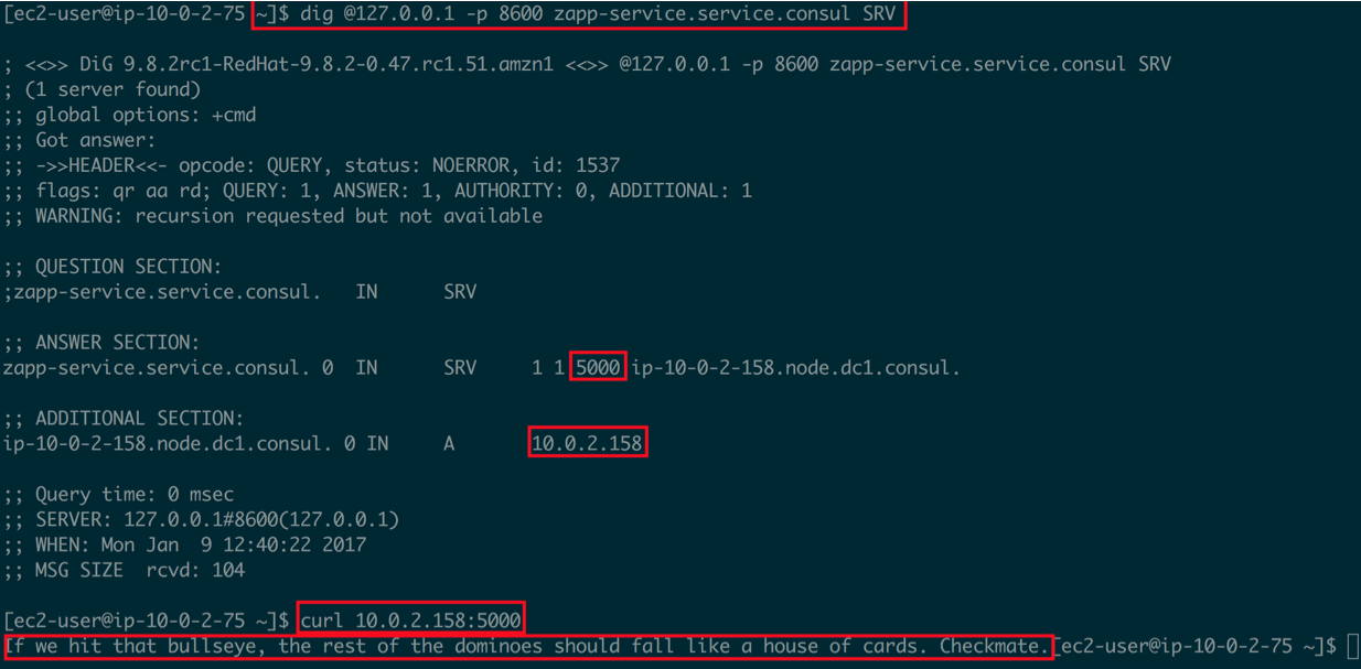Screenshot of the Zapp service