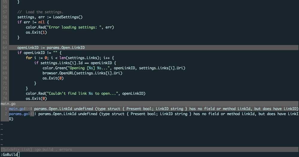 Vim with vim-go plugin screenshot
